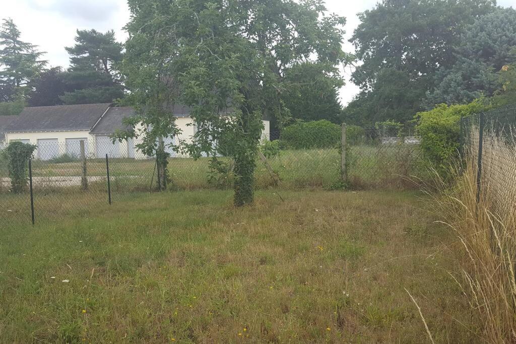 Charmante Maison Pres Du Centre Ville Amboise Zewnętrze zdjęcie