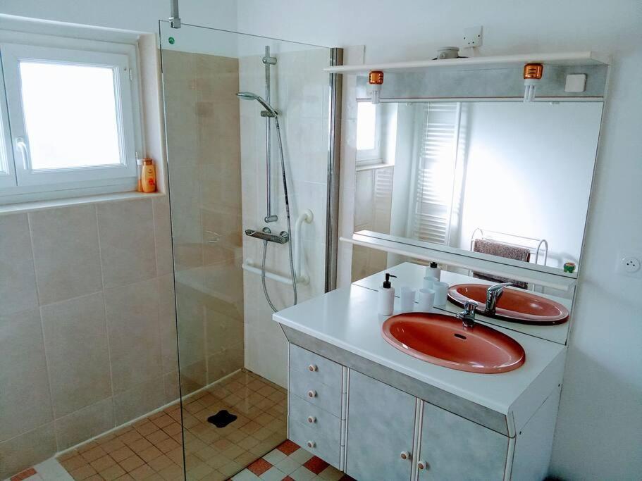 Charmante Maison Pres Du Centre Ville Amboise Zewnętrze zdjęcie